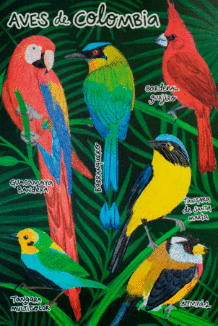 POSTAL AVES DE COLOMBIA