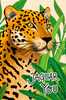 POSTAL JAGUAR YOU