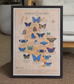 MAPA MARIPOSAS DE COLOMBIA