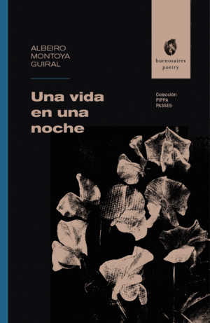 UNA VIDA EN UNA NOCHE