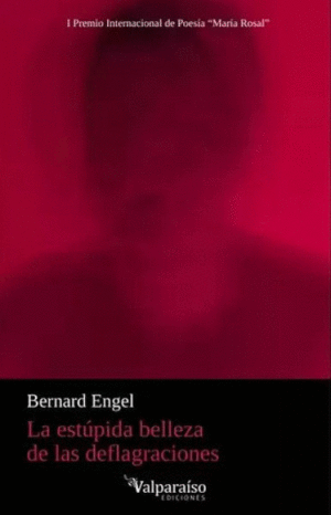 LA ESTÚPIDA BELLEZA DE LAS DEFLAGRACIONES