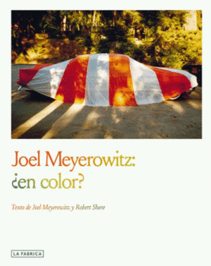 JOEL MEYEROWITZ: ¿EN COLOR?