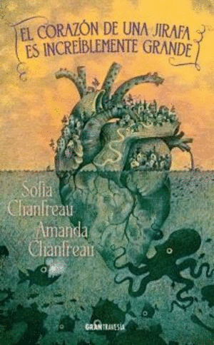 EL CORAZÓN DE UNA JIRAFA ES INCREÍBLEMENTE GRANDE