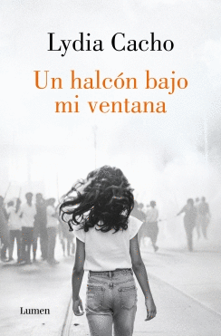 UN HALCON BAJO MI VENTANA
