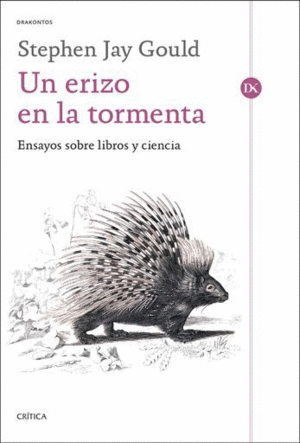 UN ERIZO EN LA TORMENTA