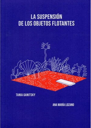 LA SUSPENSIÓN DE LOS OBJETOS FLOTANTES