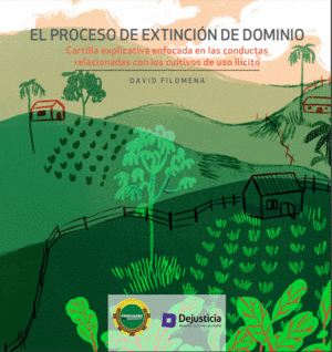 EL PROCESO DE EXTINCIÓN DE DOMINIO