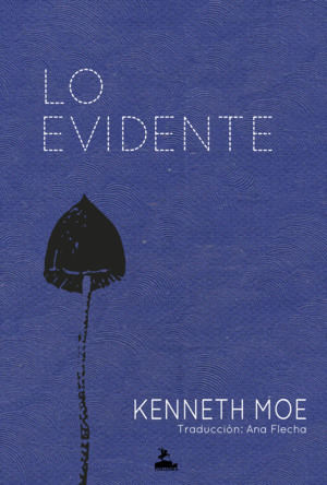 LO EVIDENTE