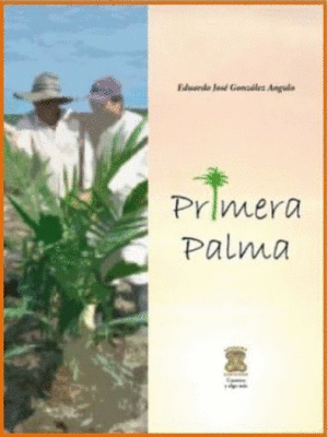 PRIMERA PALMA